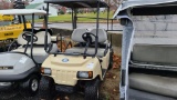 Electric Golf Cart