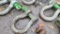 Screw Pin Shackle