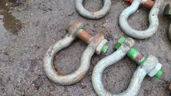Screw Pin Shackle