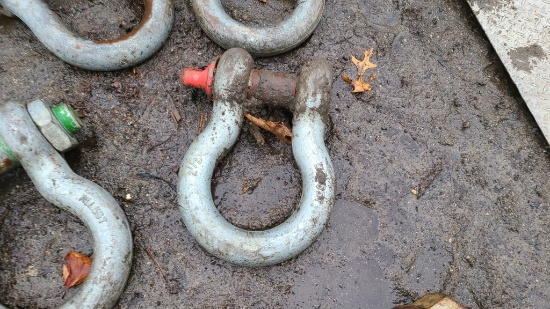 Screw Pin Shackle