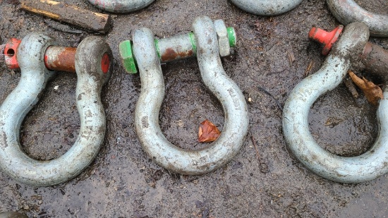 Screw Pin Shackle
