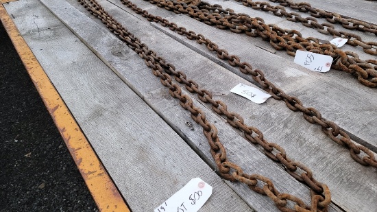 19 ft chain