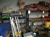 2 Rolling Shelving Units