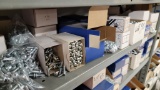 Shelf: assorted bolts and metal screws