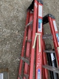 Werner 5’ fiberglass ladder