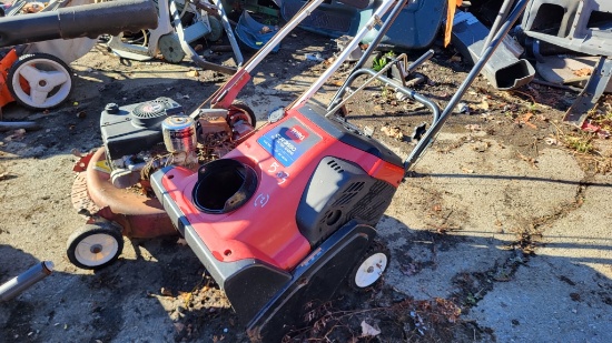 Snowblower and mower