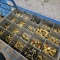 Parts Bin - Air fittings, brass fittings, etc