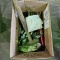 Misc. Tools in box
