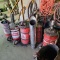 Lot - assorted greases and grease buddys