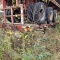 Fruehauf highflat trailer