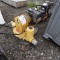 Wacker Neuson Diaphragm Water Pump