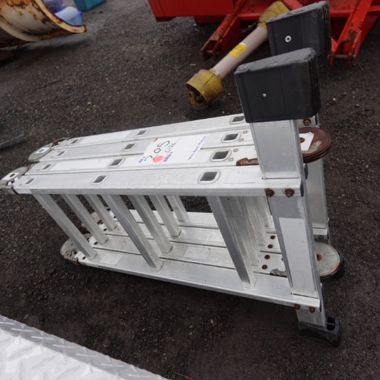 Folding Ladder