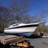1984 Wellcraft Coastal 3200 Boat