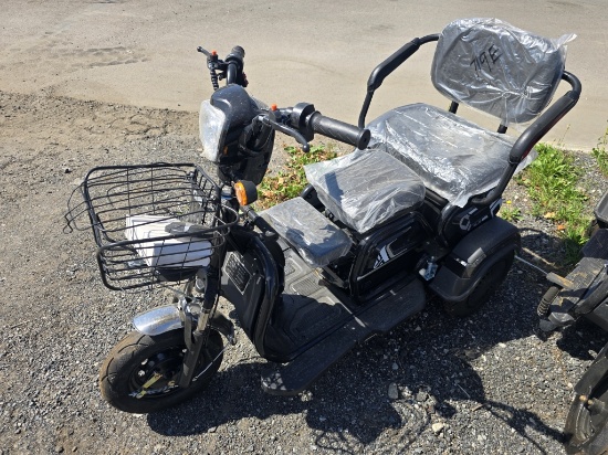New Future Ft-d3 3 Wheeled Electric Cart