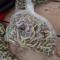 New 20ft Grade 70 Cargo Transport Chains