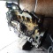Caterpillar 3208 Diesel Engine