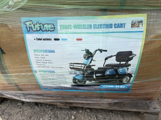 New Future FT-D3 3-Wheel Electric Cart