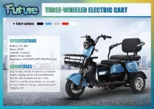New Future FT-D3 3-Wheel Electric Cart