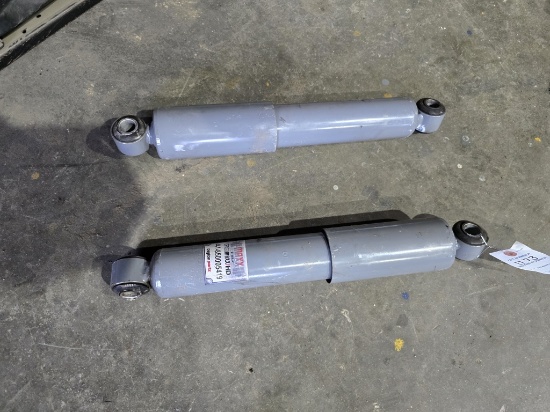 2Pcs Cargomaxx Gas Shocks
