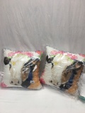 Pair of The Pioneer Woman Decorative Pillows (18