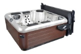 Custom SmarTop Concepts Bullfrog Spas Hot tub and cover