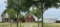Tract 1: Custom Brick Home on 14.2 acres along with workshop w/ofc, cattle pens & large stock tank