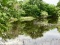 Tract 2: 59 acres w/small stock pond on sandy loam soil and a nice mix of pasture and mature trees