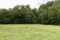 Tract 3: 55 acres w/large stock pond on sandy loam soil and a nice mix of pasture and mature trees