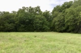 Tract 3: 55 acres w/large stock pond on sandy loam soil and a nice mix of pasture and mature trees