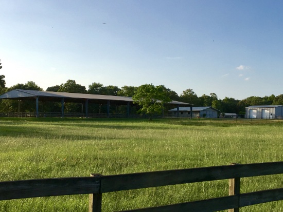 Tract 2: 10.4 acres with 80' x 200' lighted covered arena, 6 stall barn & workshop with lush pasture