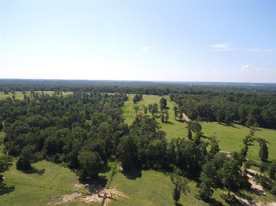 Tract 3: 30.8 acres cross fenced with mix of pasture and mature trees