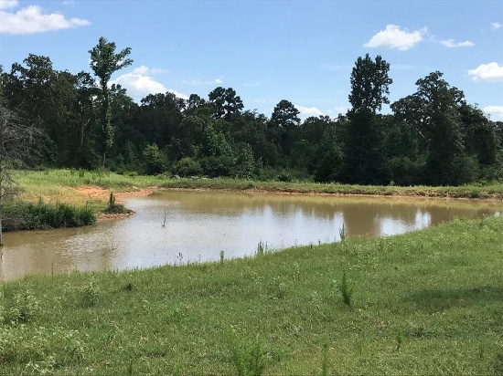 Tract 2: 31.4 acres with a stock pond and cross fenced