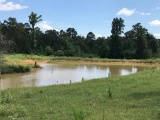 Tract 2: 31.4 acres with a stock pond and cross fenced