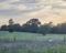 TRACT 7: 17.47 Acres