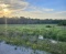 TRACT 8: 11.17 Acres