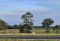 TRACT 1: 11.41 Acres