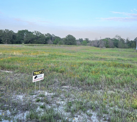 TRACT 3: 13.10 Acres