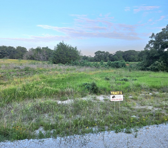 TRACT 5: 16.81 Acres