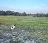 TRACT 3: 13.10 Acres