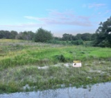 TRACT 5: 16.81 Acres