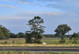 TRACT 1: 11.41 Acres