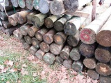 WOODEN POSTS