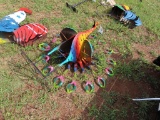 Metal Peacock Decor