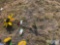 metal sunflower