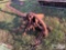 FPORD 3PTH SICKLE MOWER