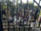 16' HEAVY DUTY THREE HORSE HEAD GATE