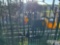 16' HEAVY DUTY DEER/MTN GATE