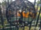 16' HEAVY DUTY TREE OF LIFE GATE