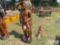 6' WOODEN INDIAN STATUE