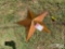 METAL STAR